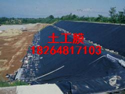 �������Ĥ�N�ۣ��ӱ��^����Ĥ����