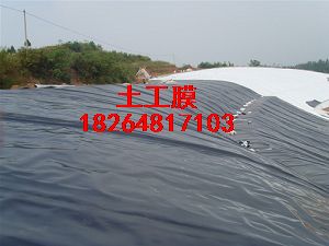 �|������Ĥ���|�����BĤ���|��HDPE����