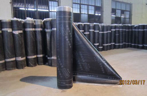 SBS�����w���Ԟr���ˮ����