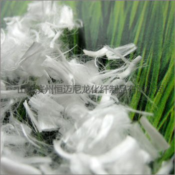 �����w�S