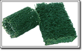 ����ä��