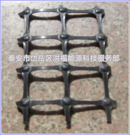 �p���������