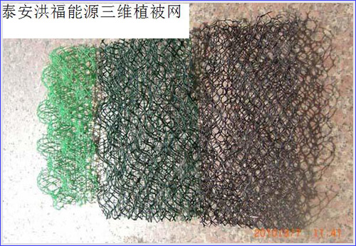 ���Sֲ���W