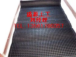 �Ӱ�HDPE����Ĥʩ����(ji��n)��ʩ��Ҫ��