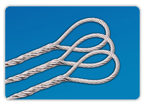 䓽z�K/����䓽z�K/����䓽z�K/�o���^�