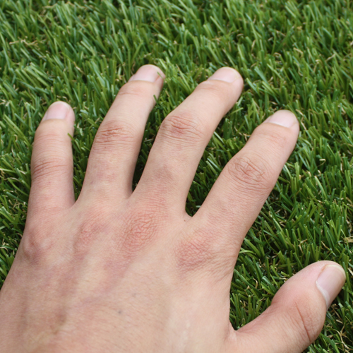 �̴�z��_���^�����ƺ