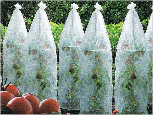 ��ꖡ����x��