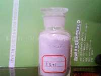 ���|ľ�ۏS�҃r��