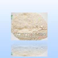 ���|ľ�|��