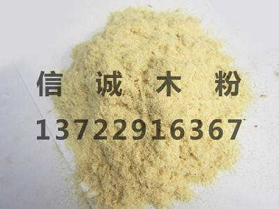 ������(y��u)�|�켈��