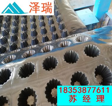 ����܇��Nֲ�G��20������ˮ��r��