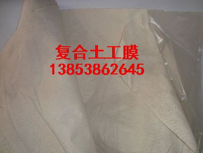 ɽ�|�ͺ�����Ĥ�����������BĤ����ɽ�|�N��