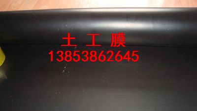 ɽ�|����Ĥ�������Ϸ��BĤ����ź�،���Ĥ