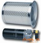 �ݗU�Չ��C�C���^�V��Ӣ�����m