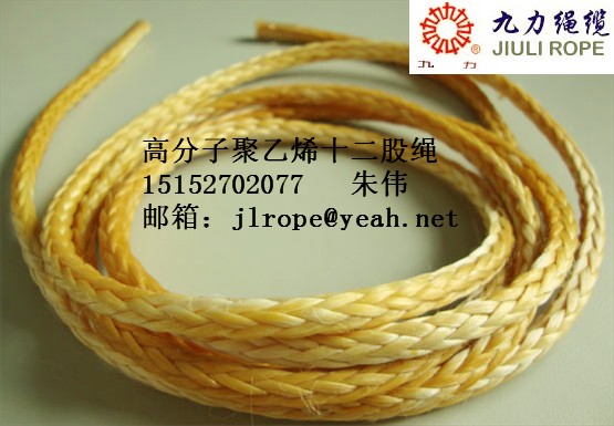 �����߷��Ӿ���ϩ�|�K