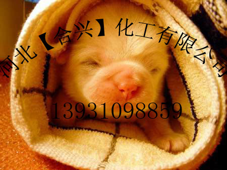 �o�����Վ�桾��֬�����ׄ���⁰׷ۡ��Ȼ�